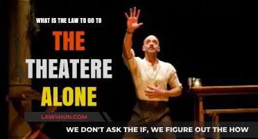 Legal Guide to Solo Theater Visits: Age Restrictions and Rules