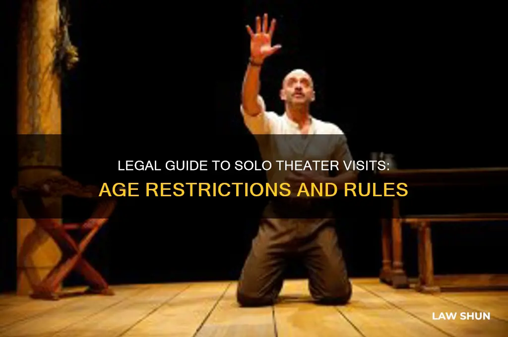 what is the law to go to the theatere alone