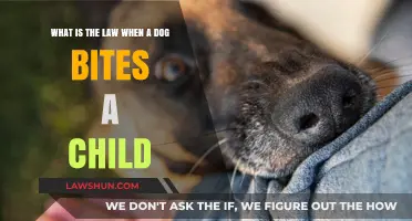 Dog Bites and Child Safety: Understanding Legal Responsibilities