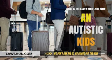 Flying with Autistic Children: Legal Rights and Travel Guidelines