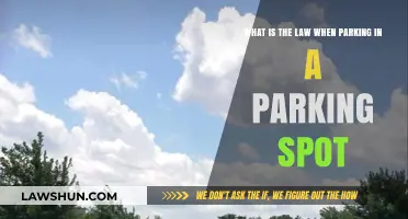 Understanding Parking Laws: Your Rights and Responsibilities in a Parking Spot