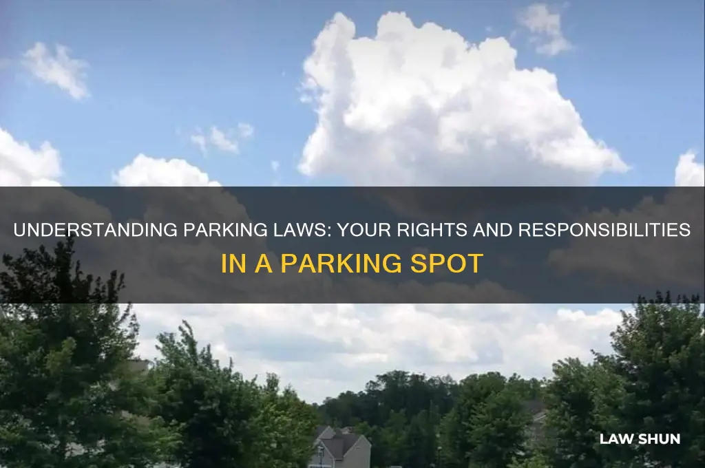 what is the law when parking in a parking spot