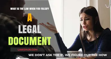 Falsifying Legal Documents: Understanding the Serious Legal Consequences and Penalties