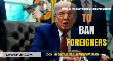 Understanding Presidential Authority: The Law Behind Foreign Entry Bans