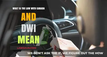 DWIs: Canada's Strict Drunk Driving Laws