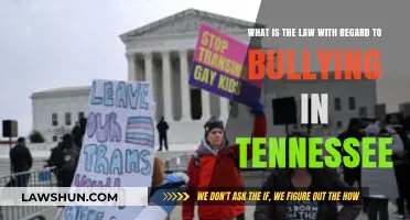 Understanding Tennessee's Anti-Bullying Laws: Rights, Protections, and Legal Recourse