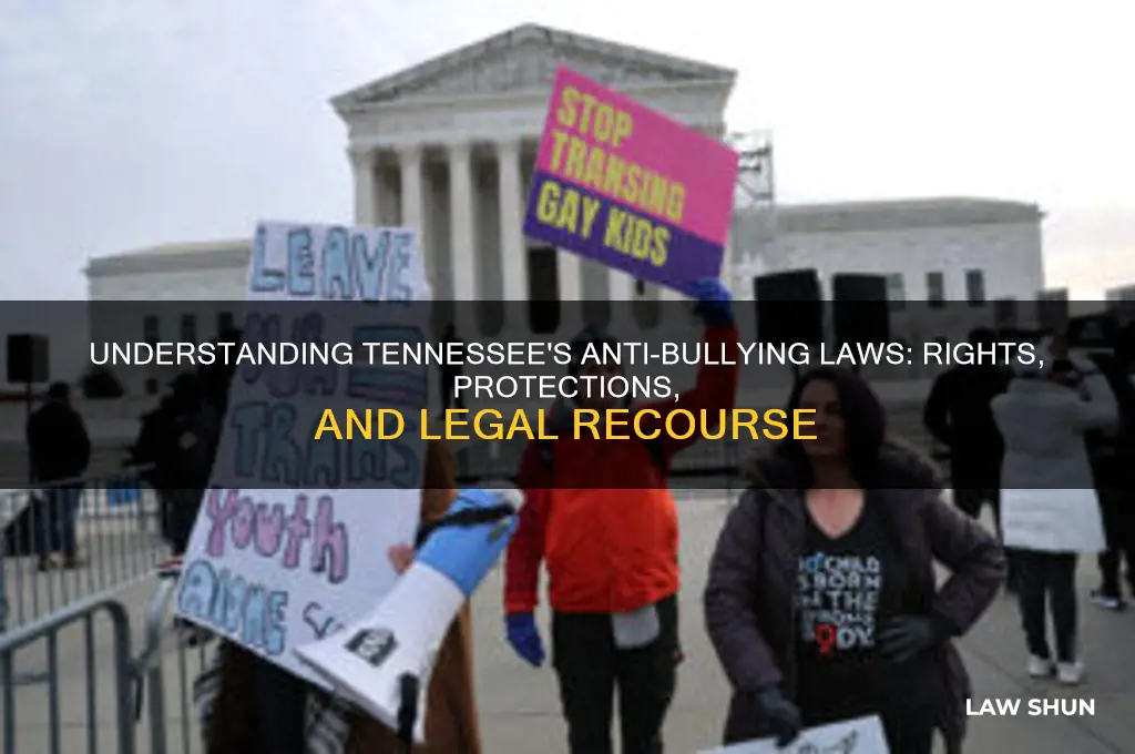 what is the law with regard to bullying in tennessee