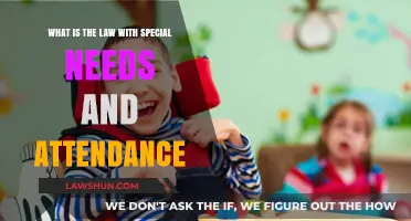 Understanding Special Needs Attendance Laws: Rights, Responsibilities, and Support