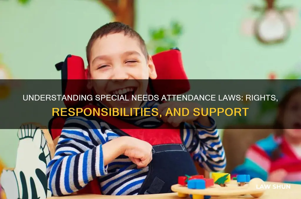 what is the law with special needs and attendance