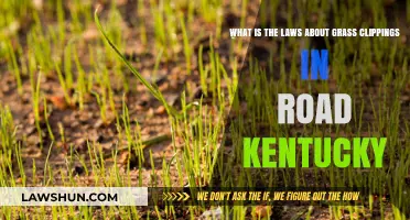 Kentucky's Road Laws: Grass Clippings Regulations Explained