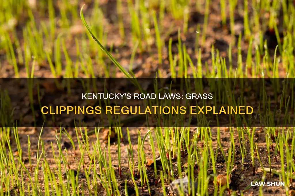 what is the laws about grass clippings in road kentucky