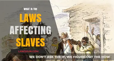 Understanding the Legal Framework: Laws Governing Slavery Explained