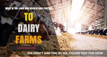Understanding Dairy Farm Laws and Regulations: A Comprehensive Guide