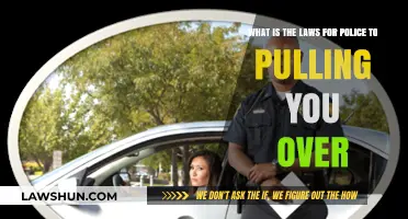 Understanding Police Traffic Stops: Legal Rights and Procedures Explained