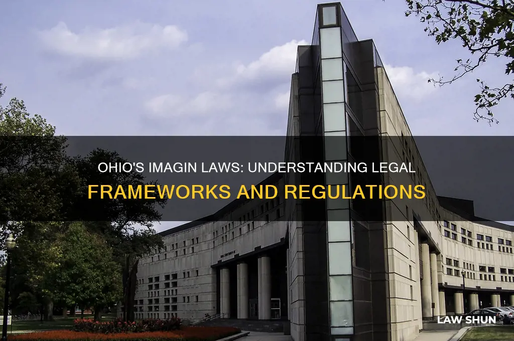 what is the laws in ohio for imaigain