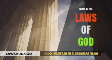 Exploring the Divine Statutes: A Journey Through the Laws of God