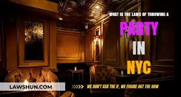 NYC Party Planning: Understanding Local Laws and Regulations