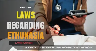 Understanding Euthanasia Laws: Legal, Ethical, and Global Perspectives Explained
