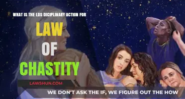 Understanding LDS Disciplinary Measures for Law of Chastity Violations