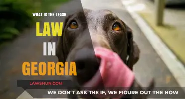 Understanding Georgia's Leash Law: Rules, Penalties, and Pet Owner Responsibilities