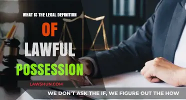Understanding Lawful Possession: Legal Definition and Key Principles Explained