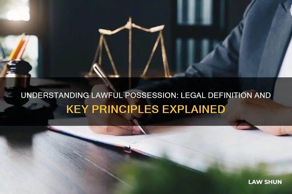 what is the legal definition of lawful possession