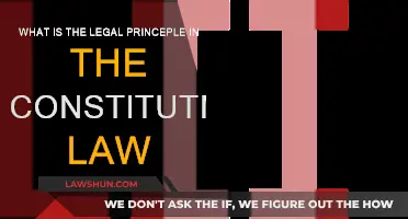 Constitutional Law: Understanding Legal Principles