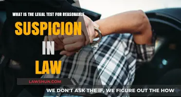 Understanding Reasonable Suspicion: Legal Test and Its Application in Law