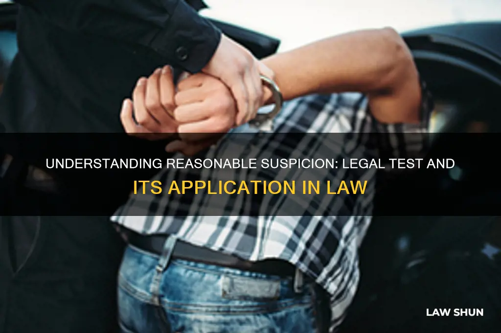 what is the legal test for reasonable suspicion in law