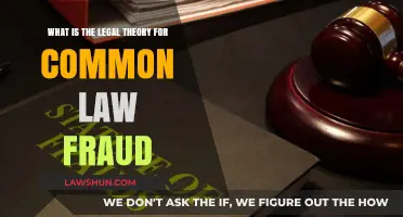 Understanding Common Law Fraud: Legal Theory Explained