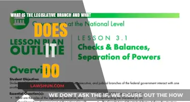 Understanding the Legislative Branch: Powers, Roles, and Responsibilities Explained