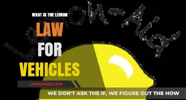 Understanding Lemon Laws: Protecting Your Rights with Defective Vehicles
