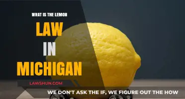 Understanding Michigan's Lemon Law: Protecting Consumers from Defective Vehicles