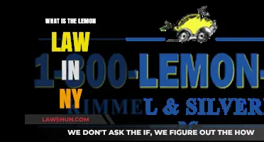 Understanding New York's Lemon Law: Protecting Your Rights as a Consumer