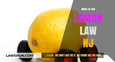 Understanding New Jersey's Lemon Law: Protecting Your Rights as a Consumer