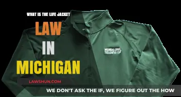 Michigan's Life Jacket Law: What You Need to Know