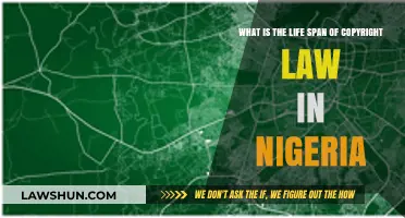 Understanding Nigeria's Copyright Law Duration: How Long Does Protection Last?
