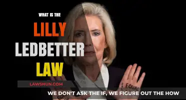 Understanding the Lilly Ledbetter Fair Pay Act: A Comprehensive Guide