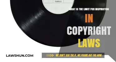 Inspiration vs. Infringement: Navigating Copyright Law Boundaries