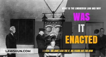 Understanding the Lindbergh Law: Origins and Enactment Explained