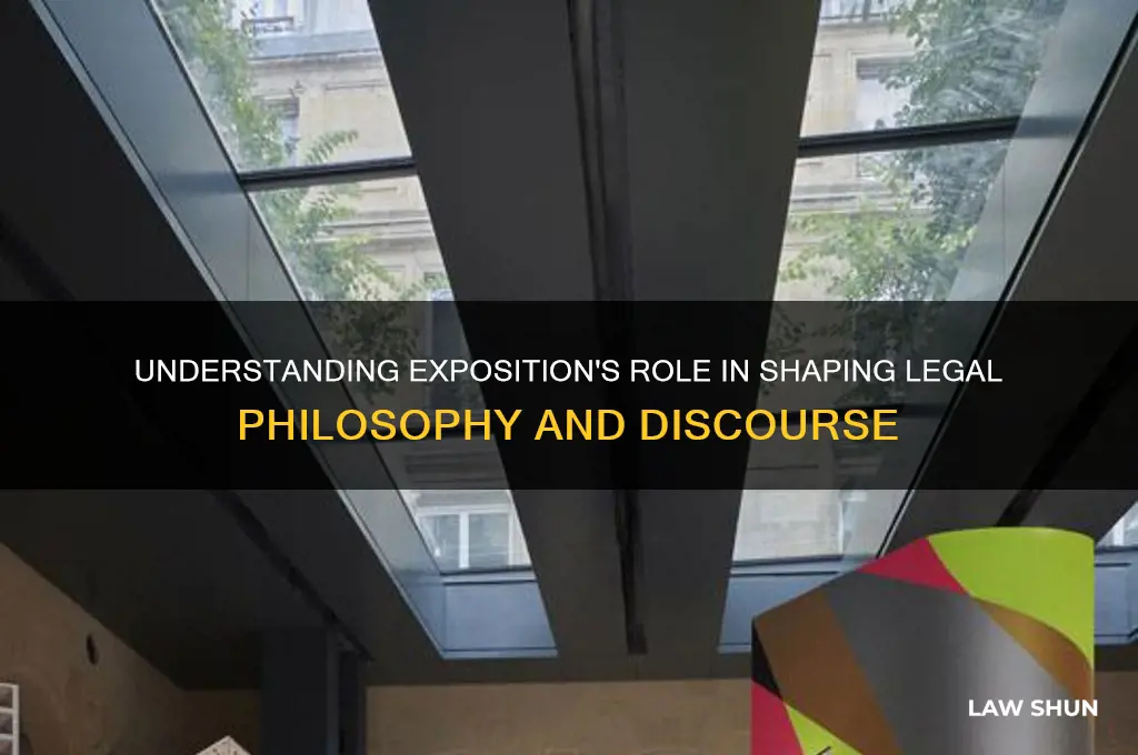 what is the logic of exposition in philosophy of law