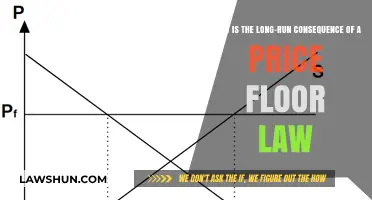 Price Floor Laws: Long-Term Economic Impacts and Market Distortions