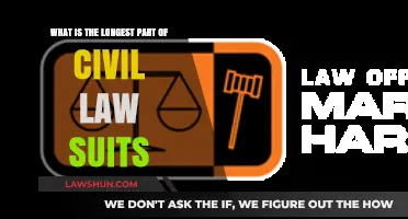The Lengthiest Phase in Civil Lawsuits: Understanding the Longest Part