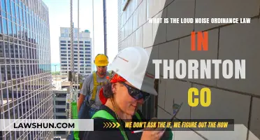 Understanding Thornton, CO's Loud Noise Ordinance Law: Rules and Penalties