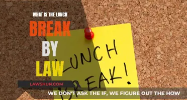 Understanding Your Legal Lunch Break Rights