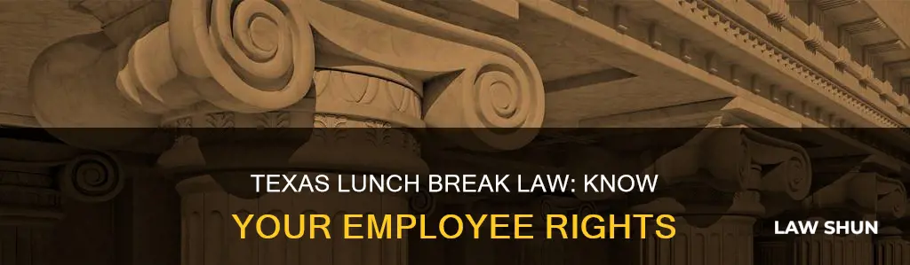 what is the lunch break law in texas