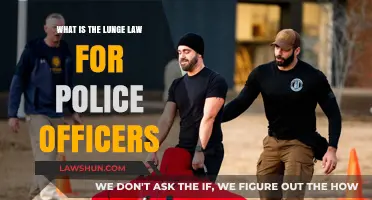 Understanding Police Lunge Law: Key Legal Protections and Officer Responsibilities