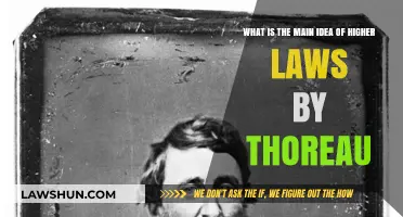 Higher Laws by Thoreau: Exploring Civil Disobedience and Moral Integrity