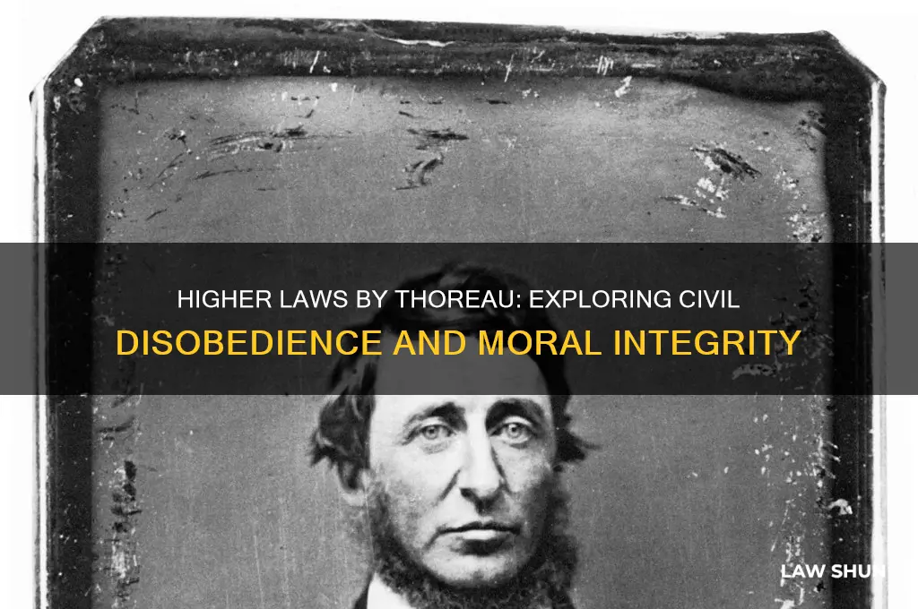 what is the main idea of higher laws by thoreau