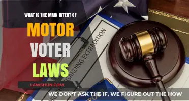 Understanding Motor Voter Laws: Simplifying Voter Registration for All Citizens